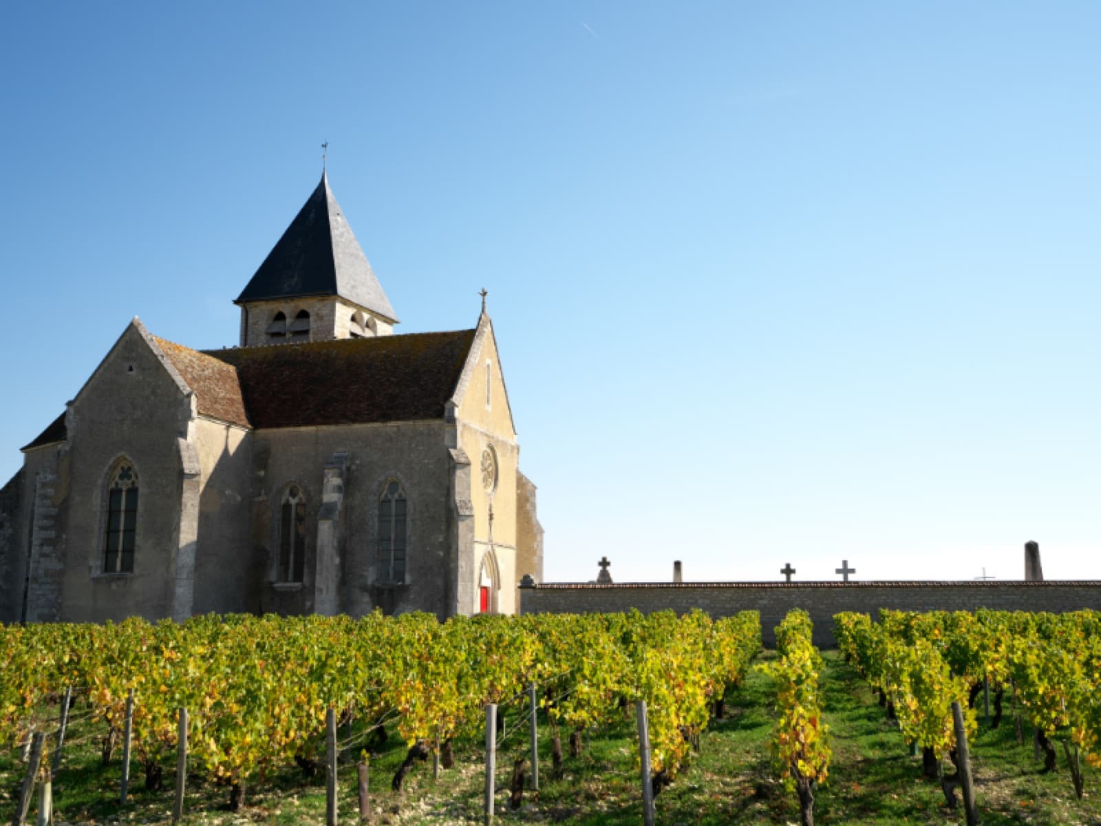 Borgonha: berço das uvas Chardonnay e Pinot Noir