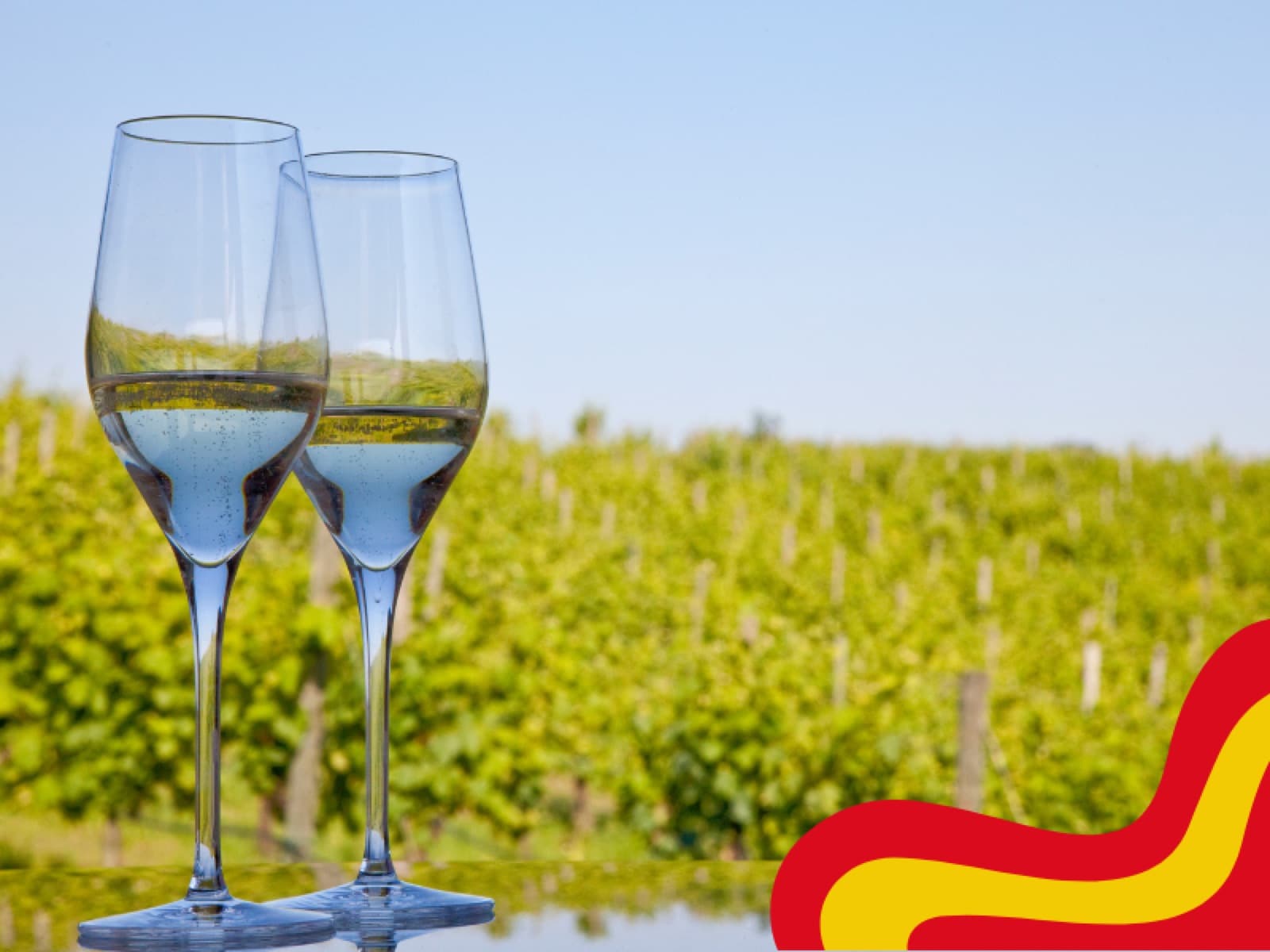 Cava: saiba tudo sobre o espumante símbolo da Espanha