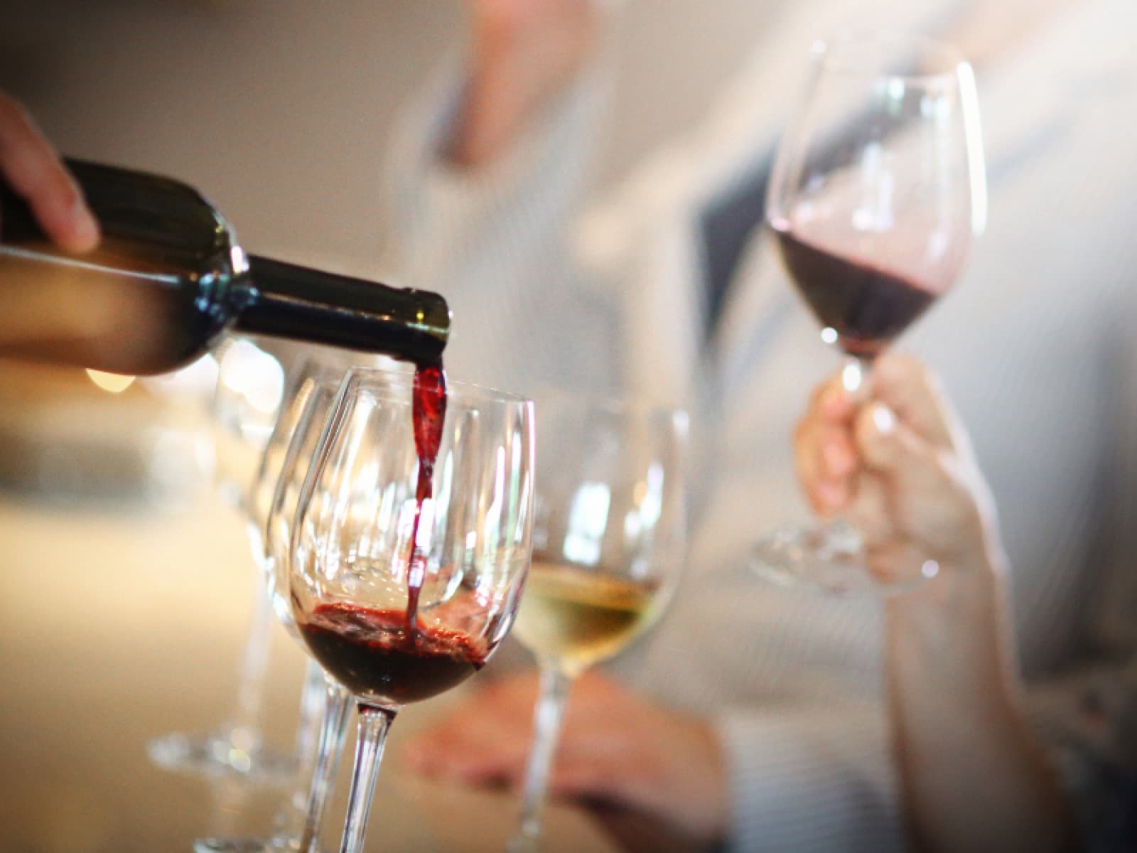 Como aproveitar melhor uma feira ou degustação de vinhos