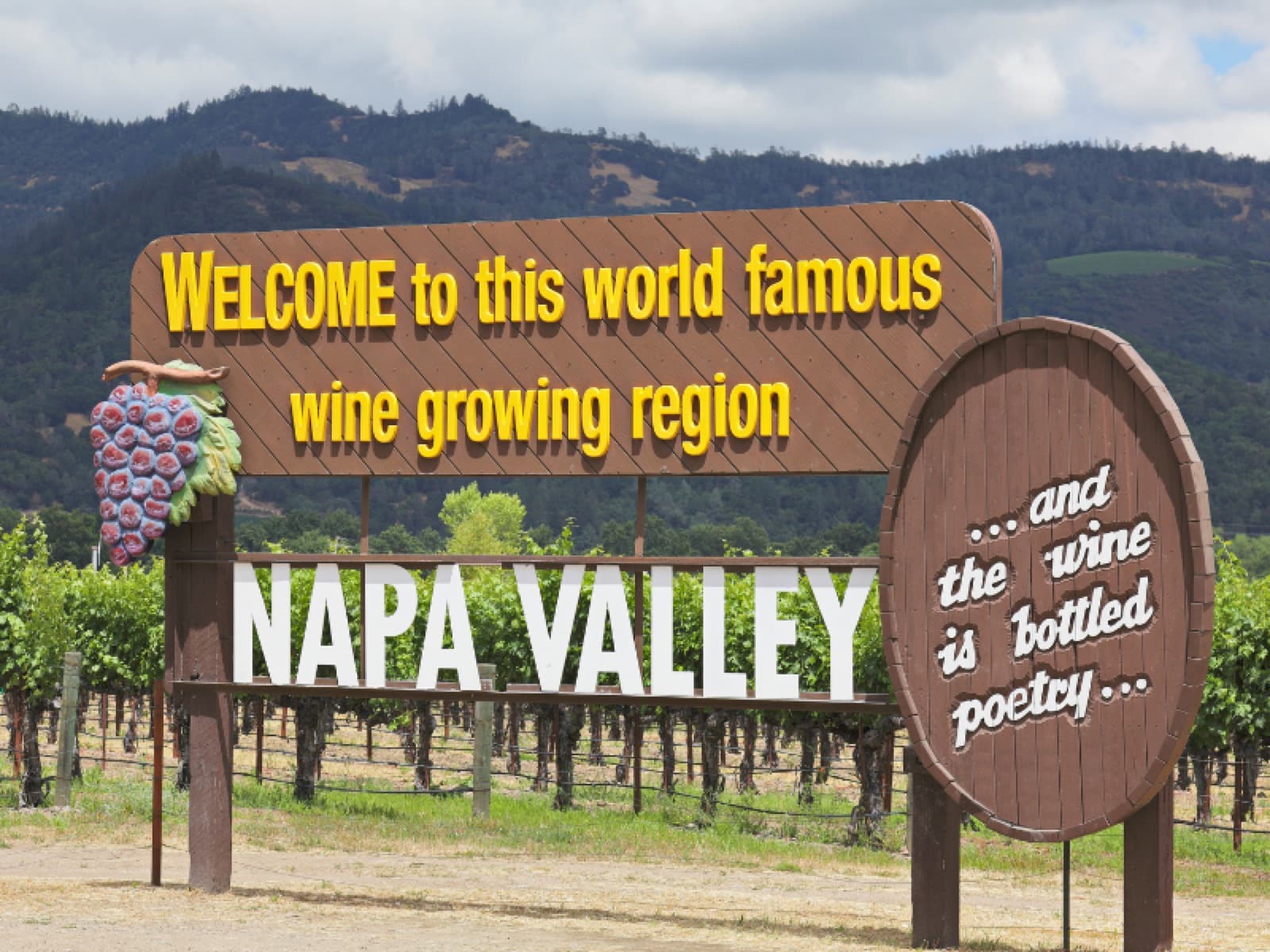 Napa Valley: saiba mais sobre a “Disney” do enoturismo