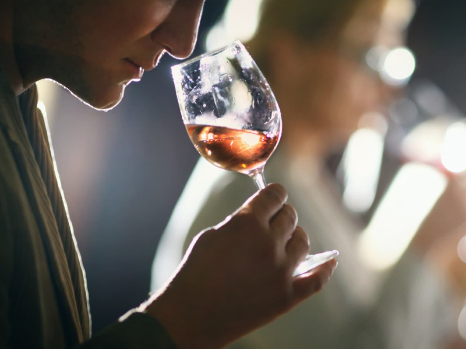 Os aromas do vinho