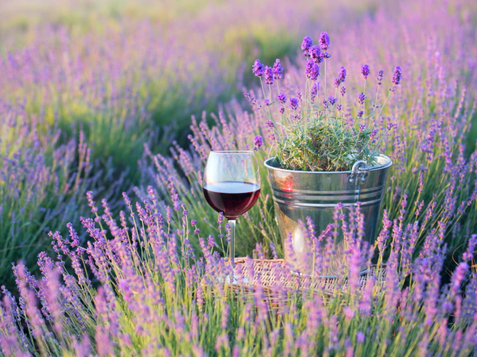 Primavera é tempo de provar novos vinhos!