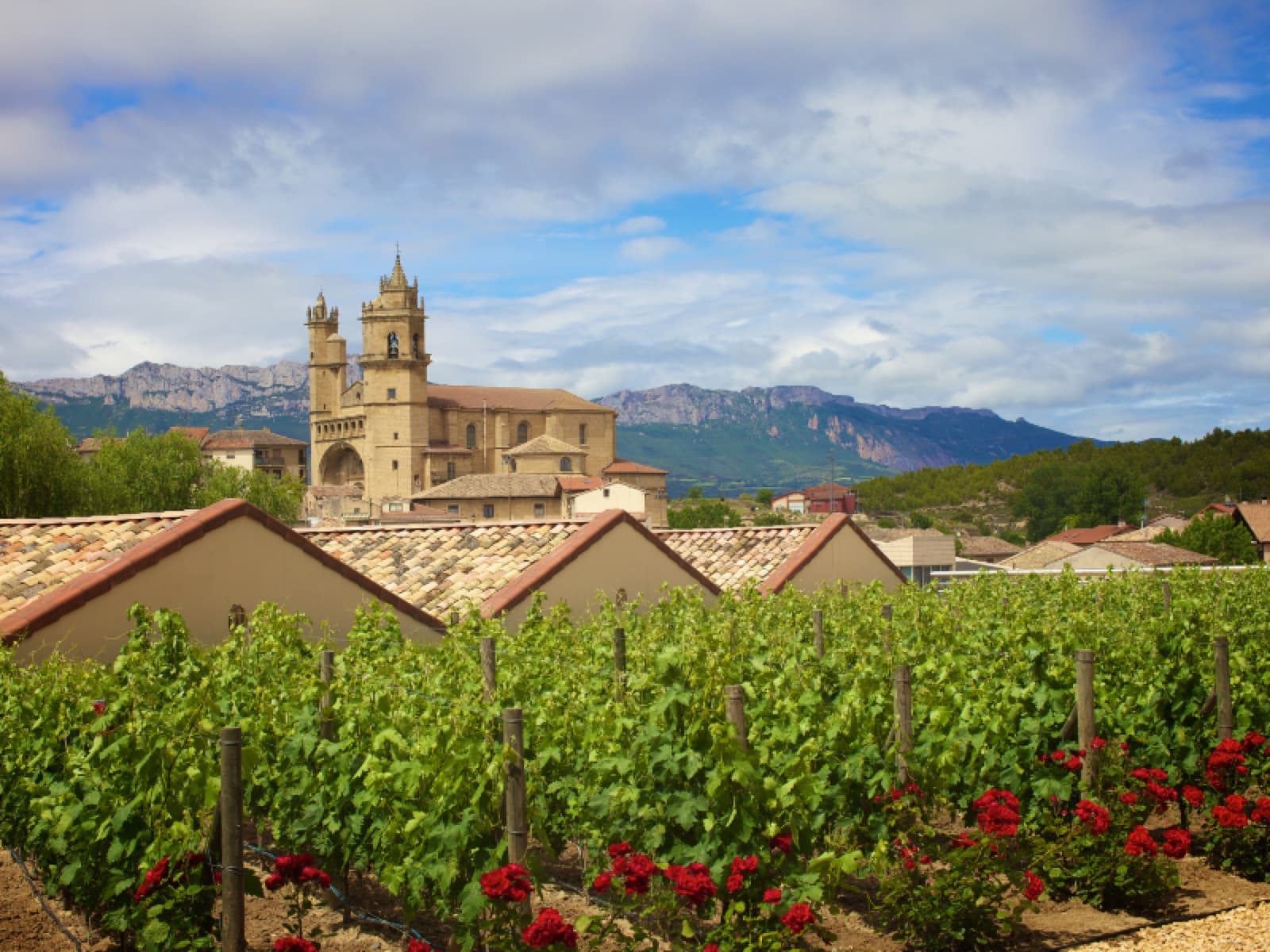Rioja: conheça o “coração” da produção de vinhos de qualidade da Espanha