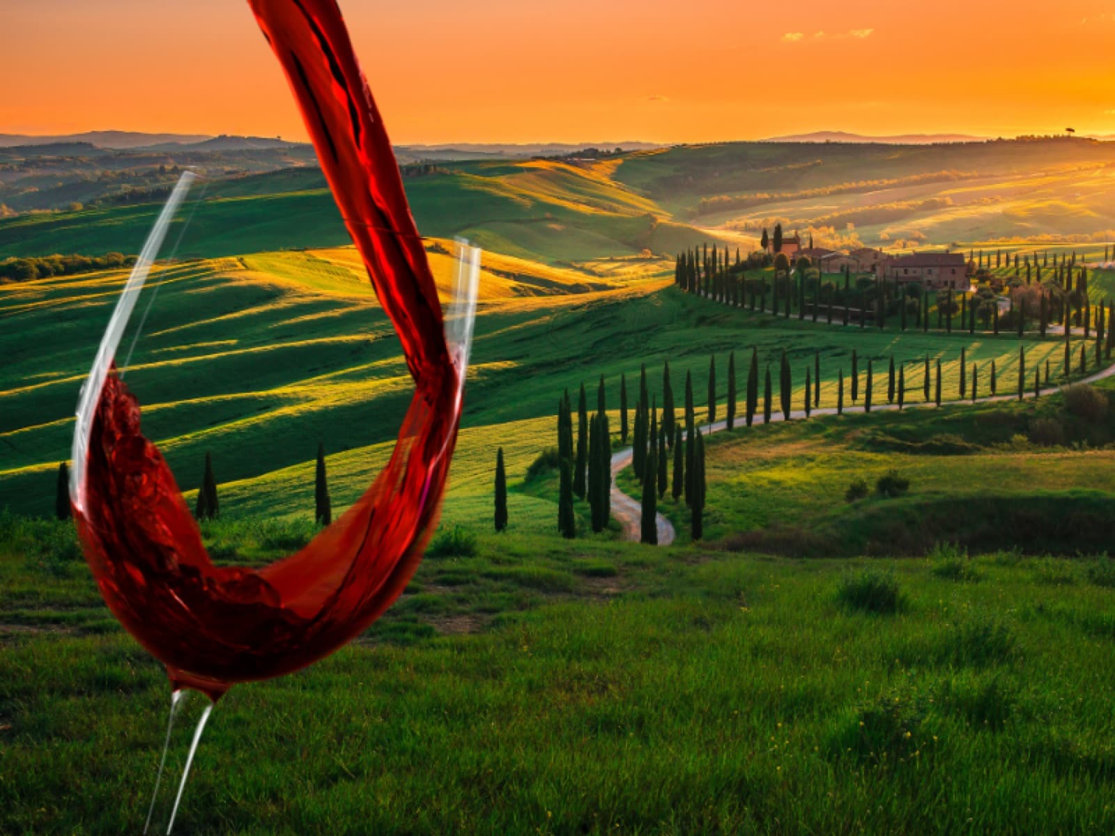 Setembro é mês de comemorar o vinho na Toscana