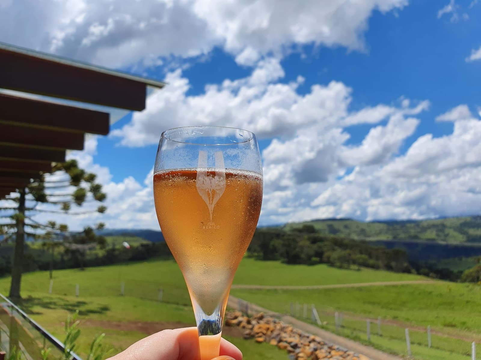 Turismo de Vinhos no Brasil