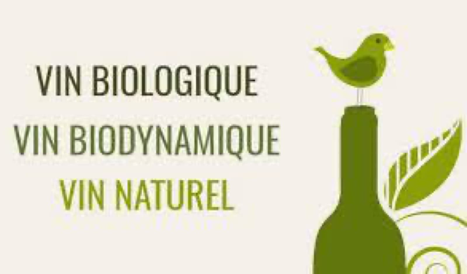 VINHO ORG NICO, BIODINÂMICO, NATURAL, VEGANO…