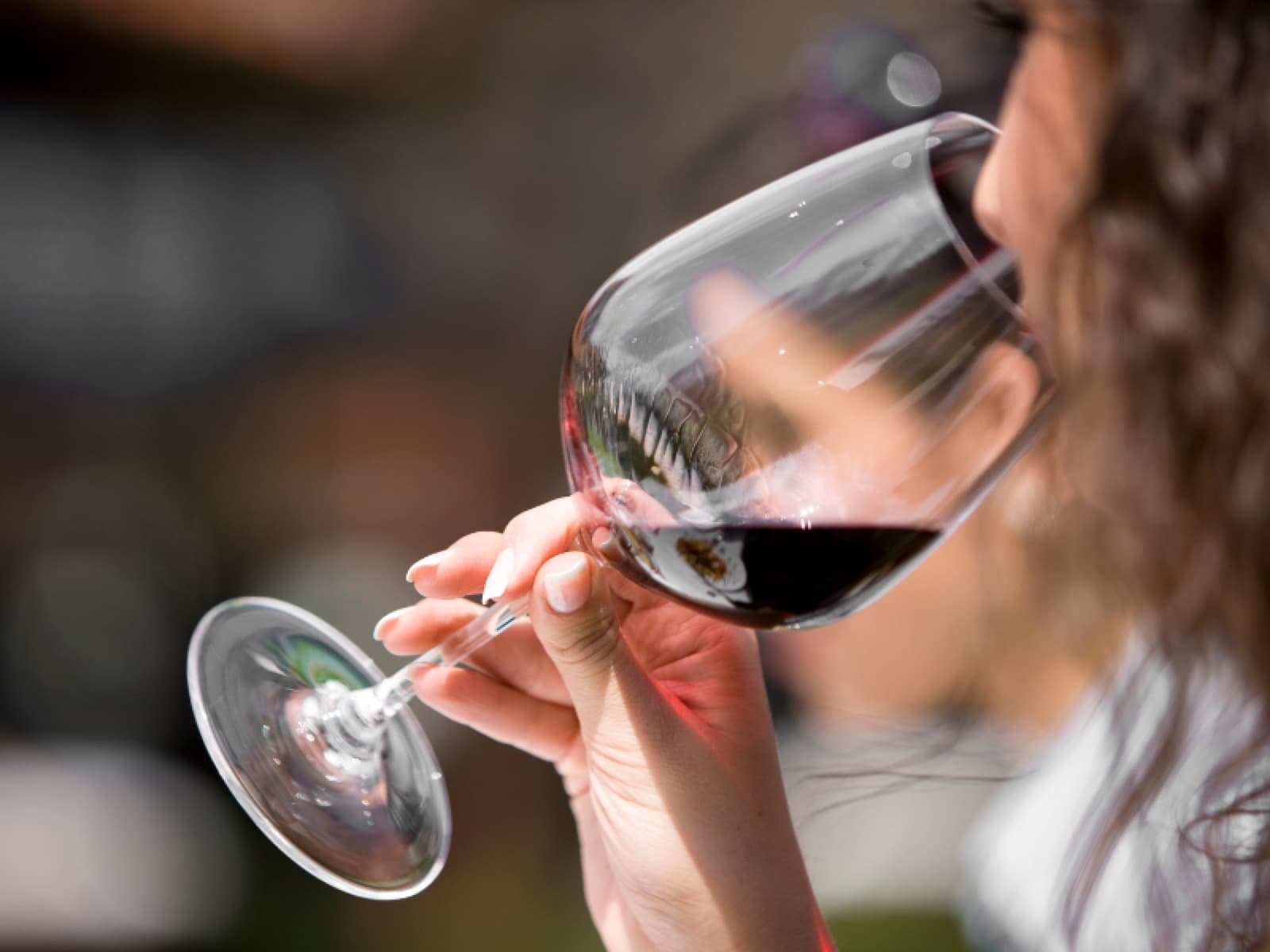 Vinhos para iniciantes: descubra as dicas para acertar na compra