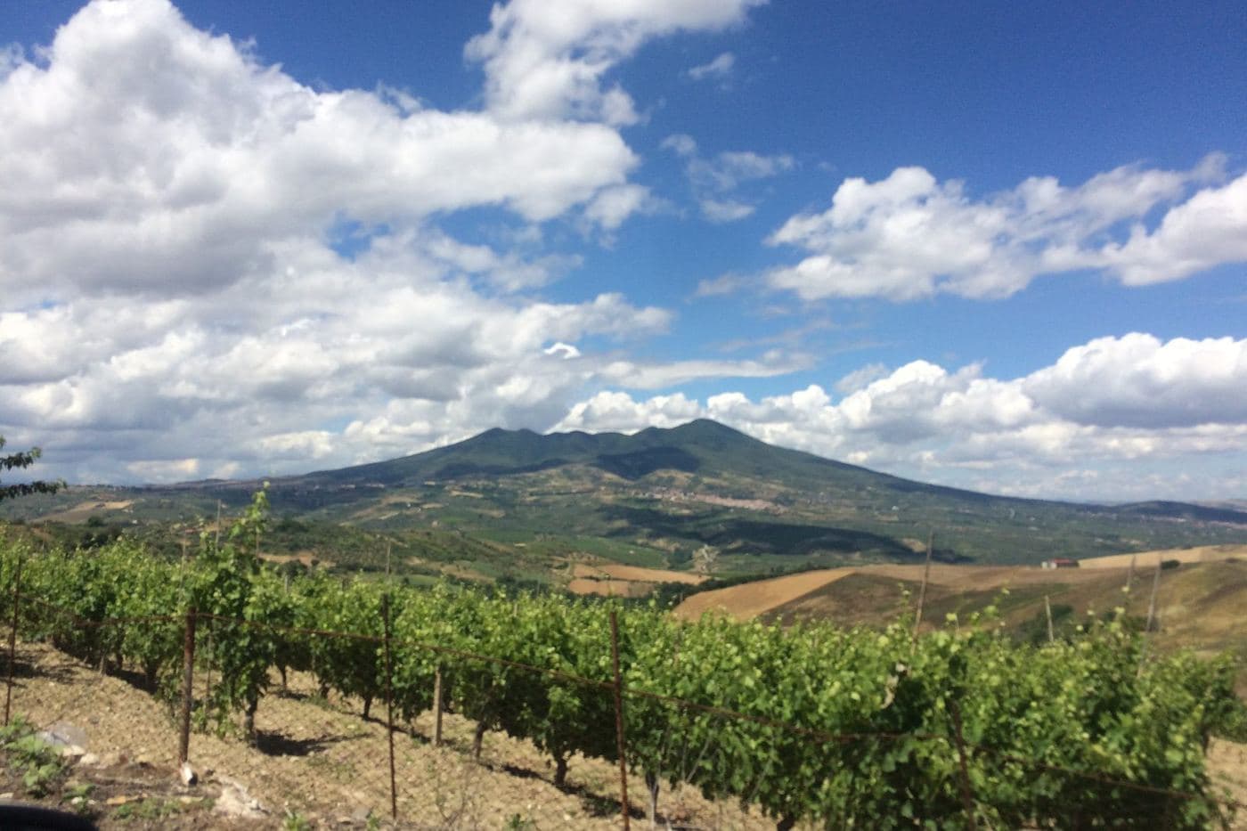 Vinhedo de Aglianico com o Monte Vulture e céu de nuvens ao fundo