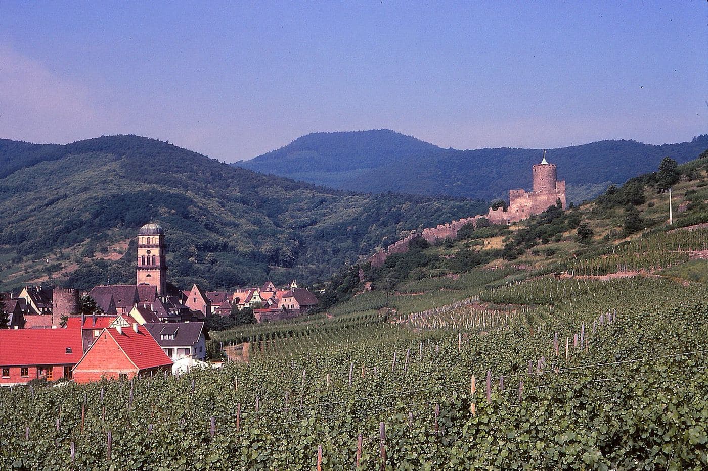 Vila de Kaysersberg com igreja e castelo cercada por vinhedos na Alsácia