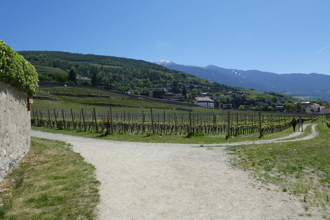 Vinhedos da Abadia de Novacella com montanhas ao fundo, no Alto Ádige