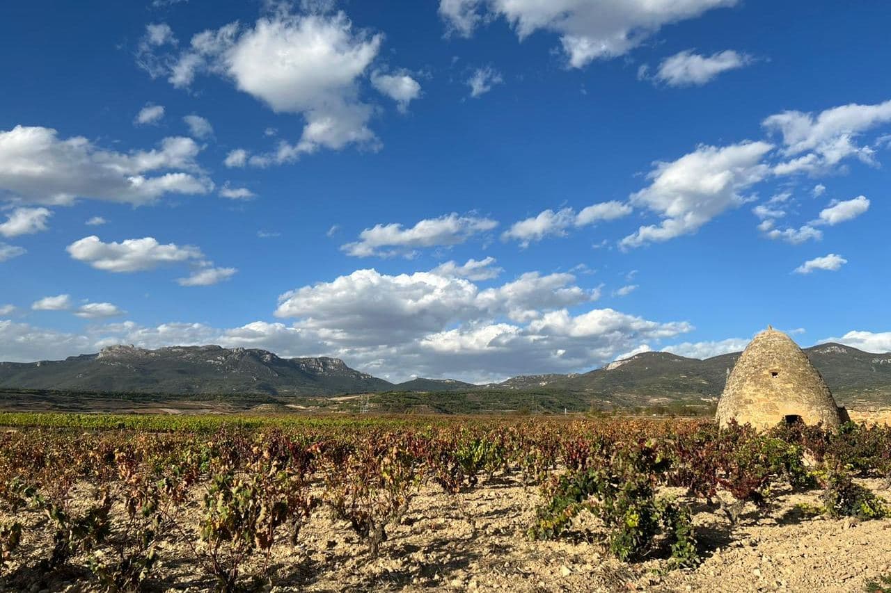 Vinhedo de cepas velhas com uma guarita de pedra e as serras ao fundo, na Rioja Alavesa