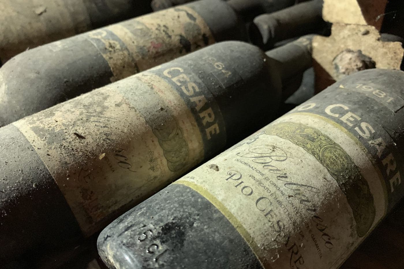 Garrafas antigas e empoeiradas de Barbaresco da Pio Cesare na adega