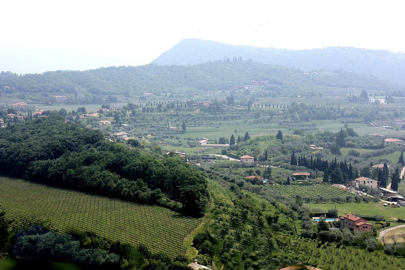 Vinhedos e ciprestes nas colinas de Bardolino vistos do eremitério de San Giorgio