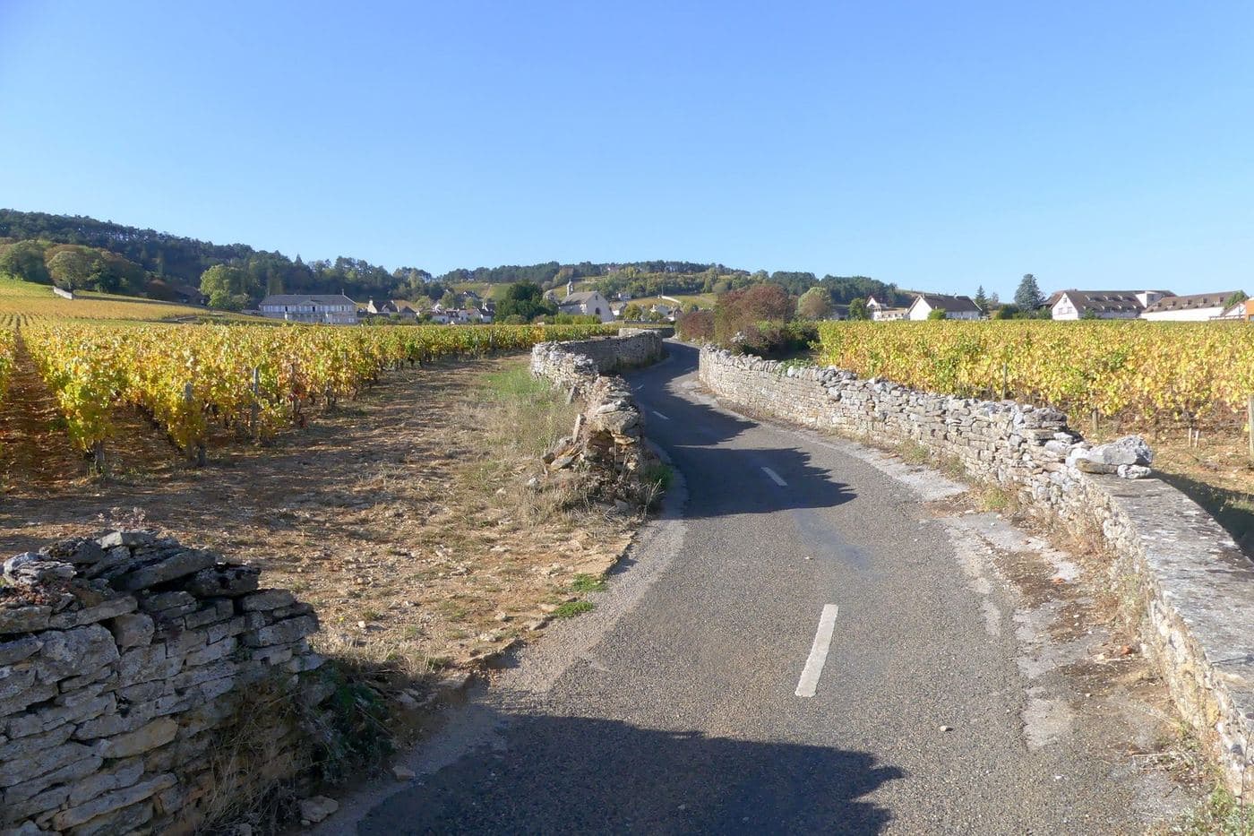 Estrada entre muros de pedra e vinhedos dourados rumo a Volnay no outono