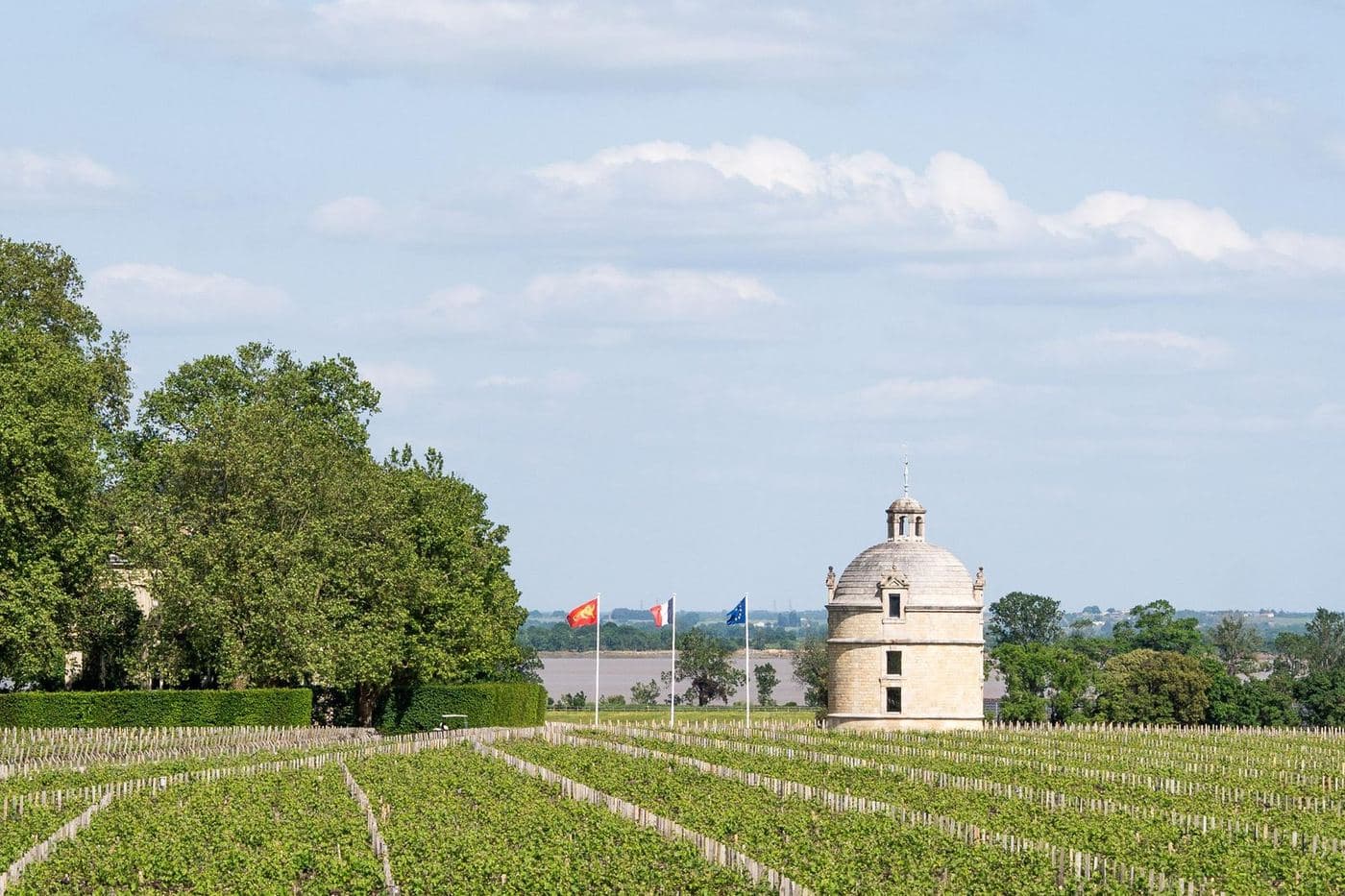 Fileiras de vinhedo jovem com pombal ao fundo no Médoc