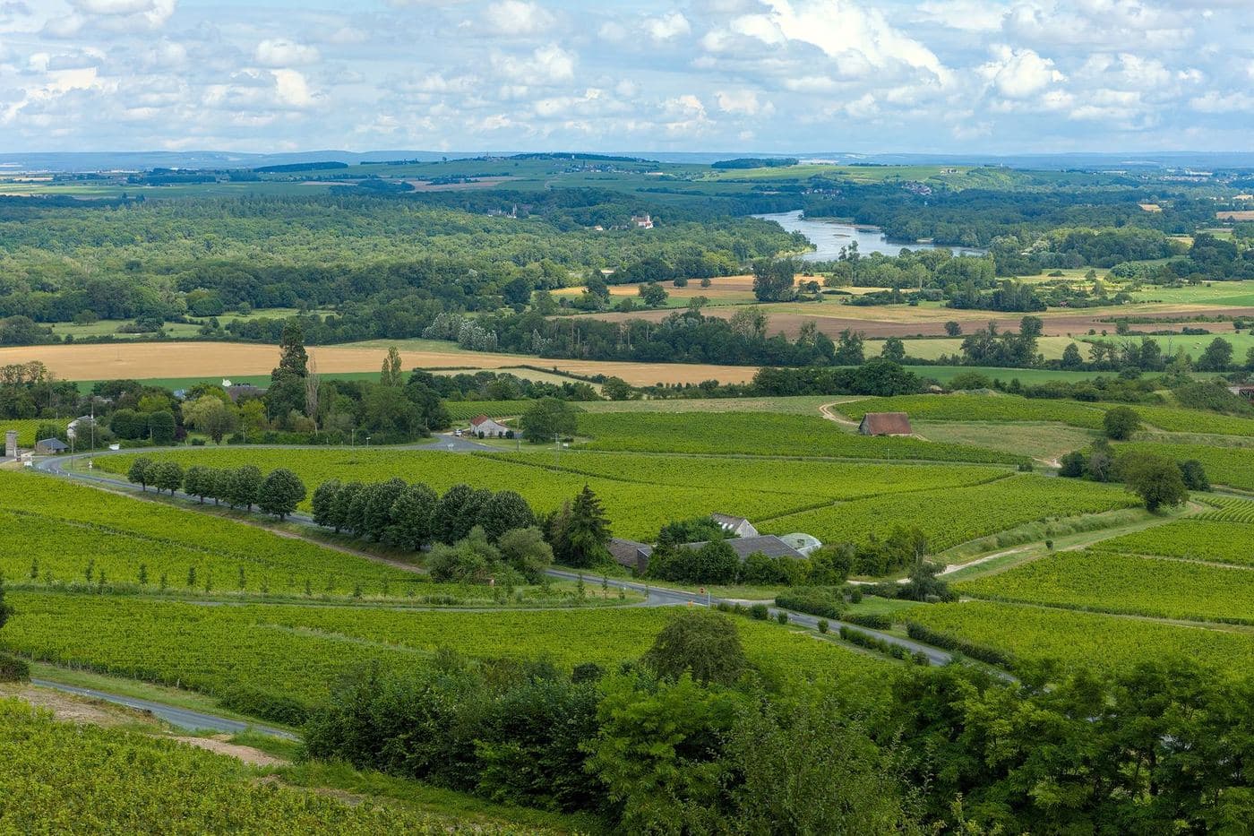 Vista panorâmica dos vinhedos de Sancerre com o rio Loire ao fundo