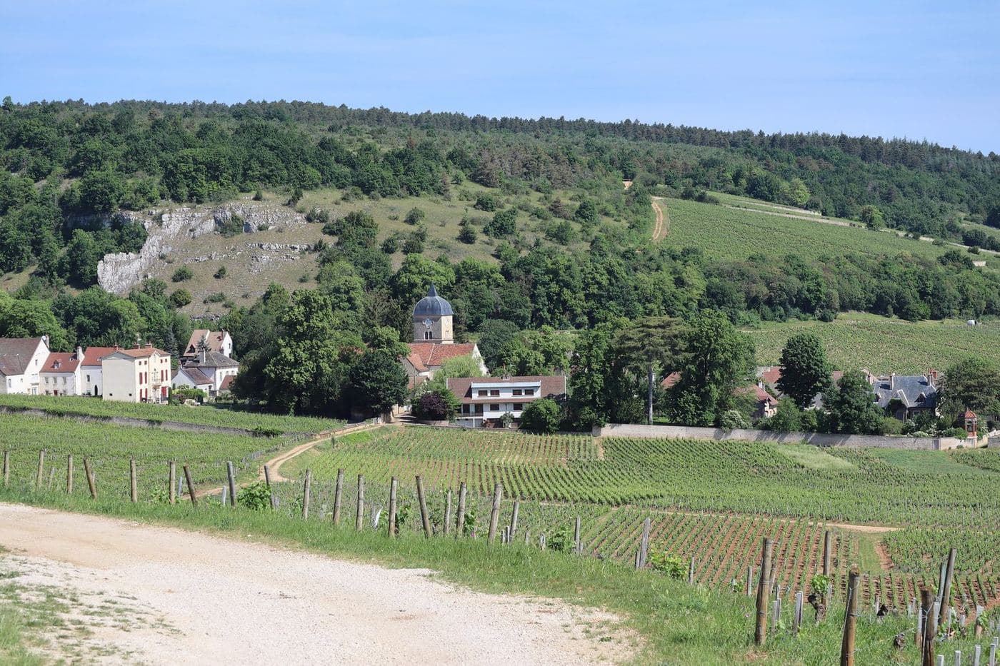 Vila de Chambolle-Musigny com vinhedos em primeiro plano e encosta arborizada