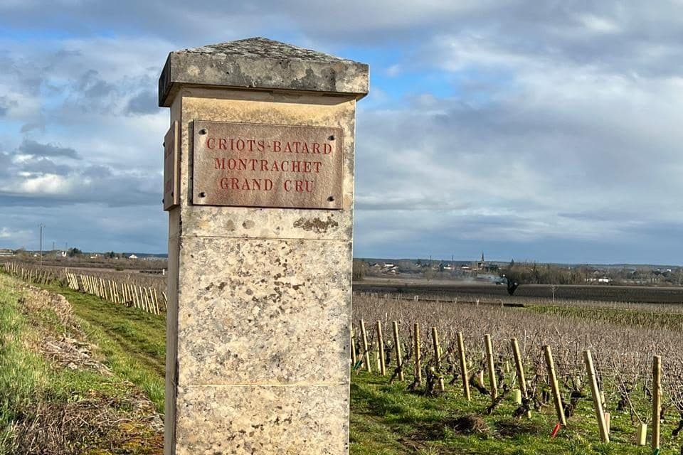 Pilar de pedra do Criots-Bâtard-Montrachet Grand Cru junto ao vinhedo