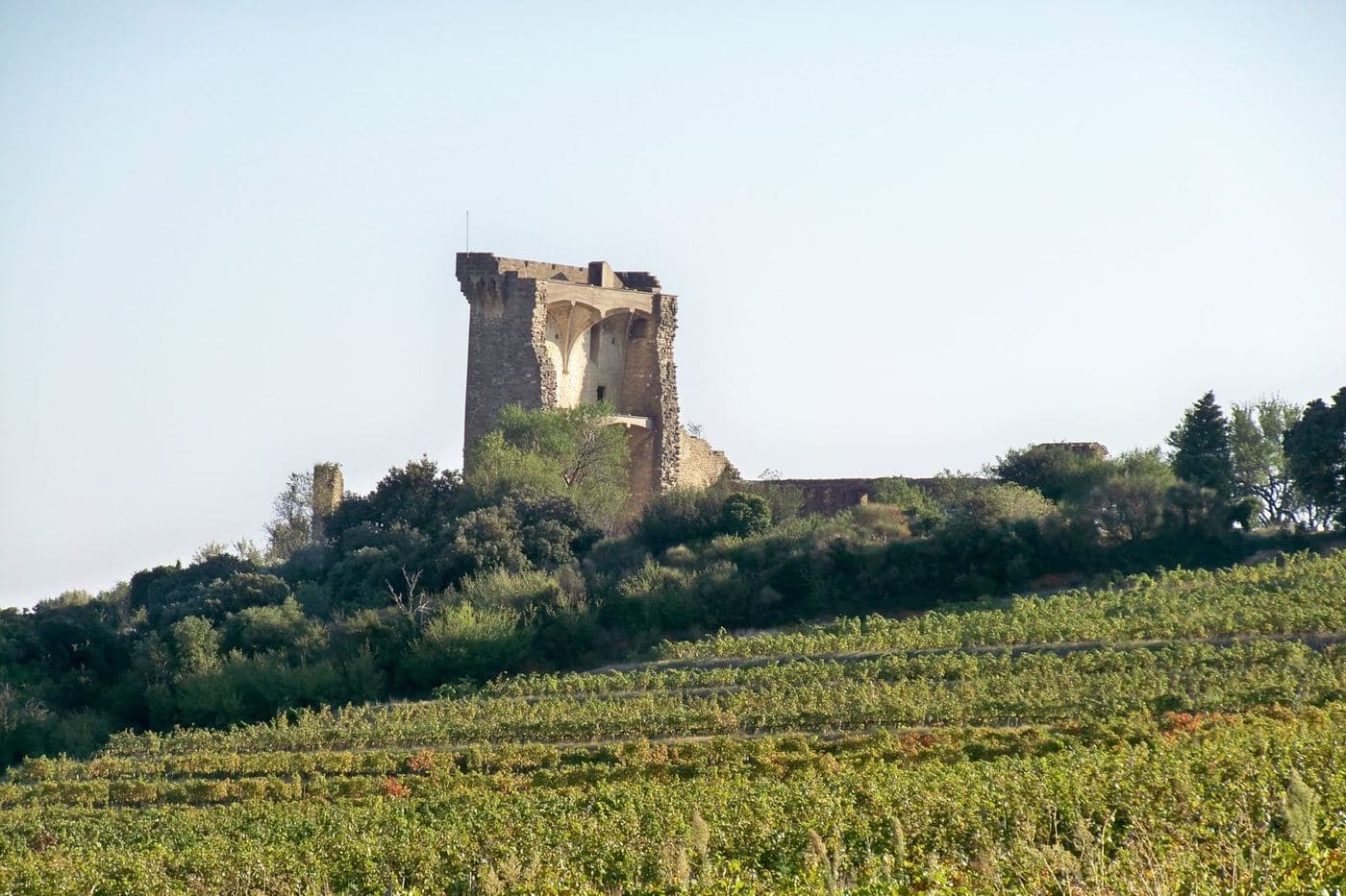 Ruínas do castelo dos papas sobre vinhedos em Châteauneuf-du-Pape