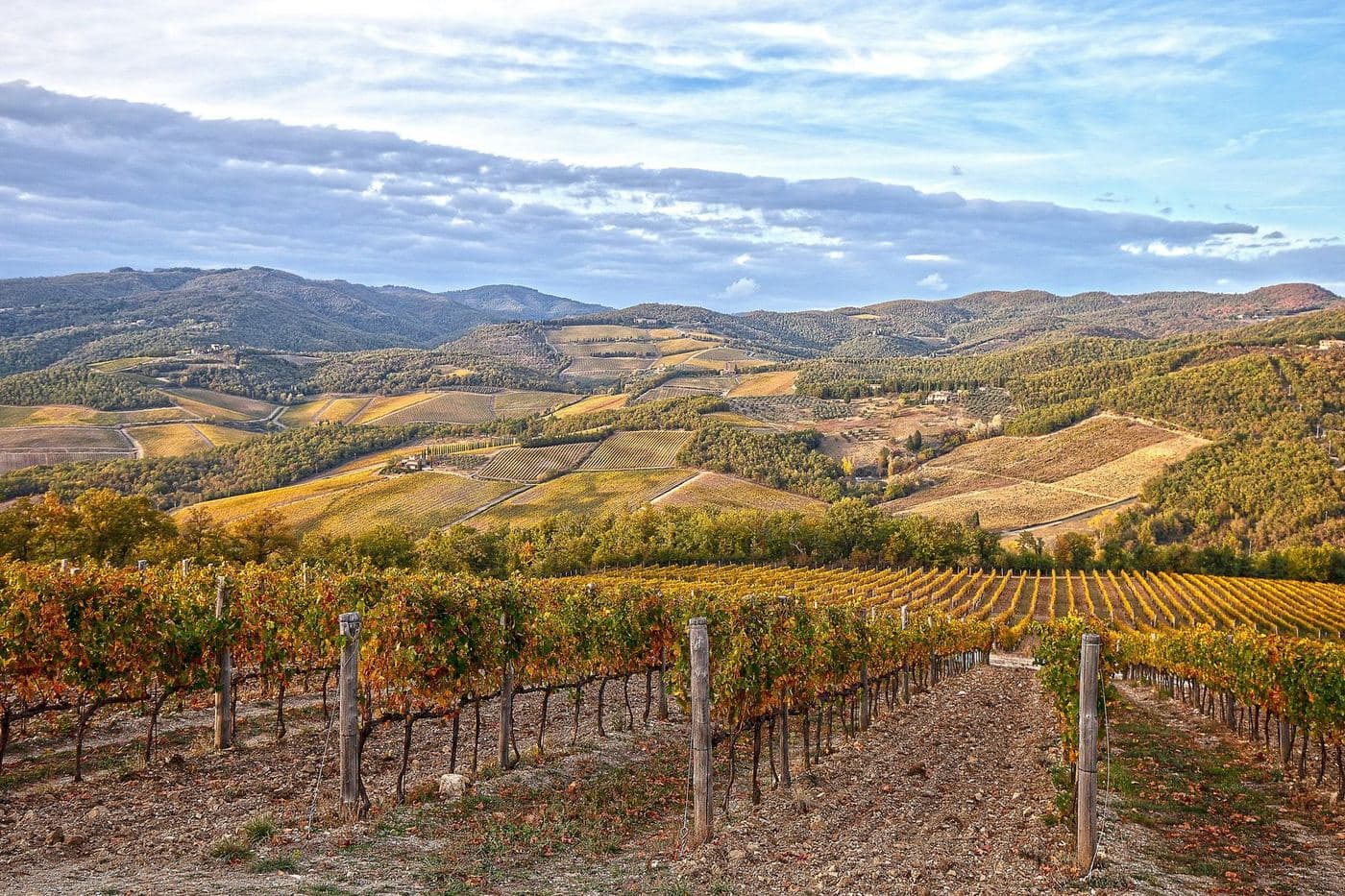 Vinhedos de outono no Chianti Classico perto de Radda