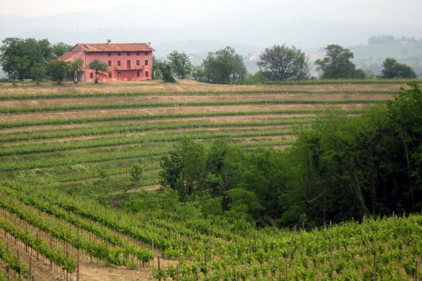 Vinhedos em encosta com casa rosada em Rocca Bernarda, Colli Orientali
