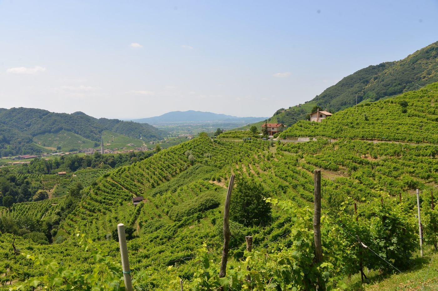 Encostas íngremes de vinhedos nas colinas de Valdobbiadene
