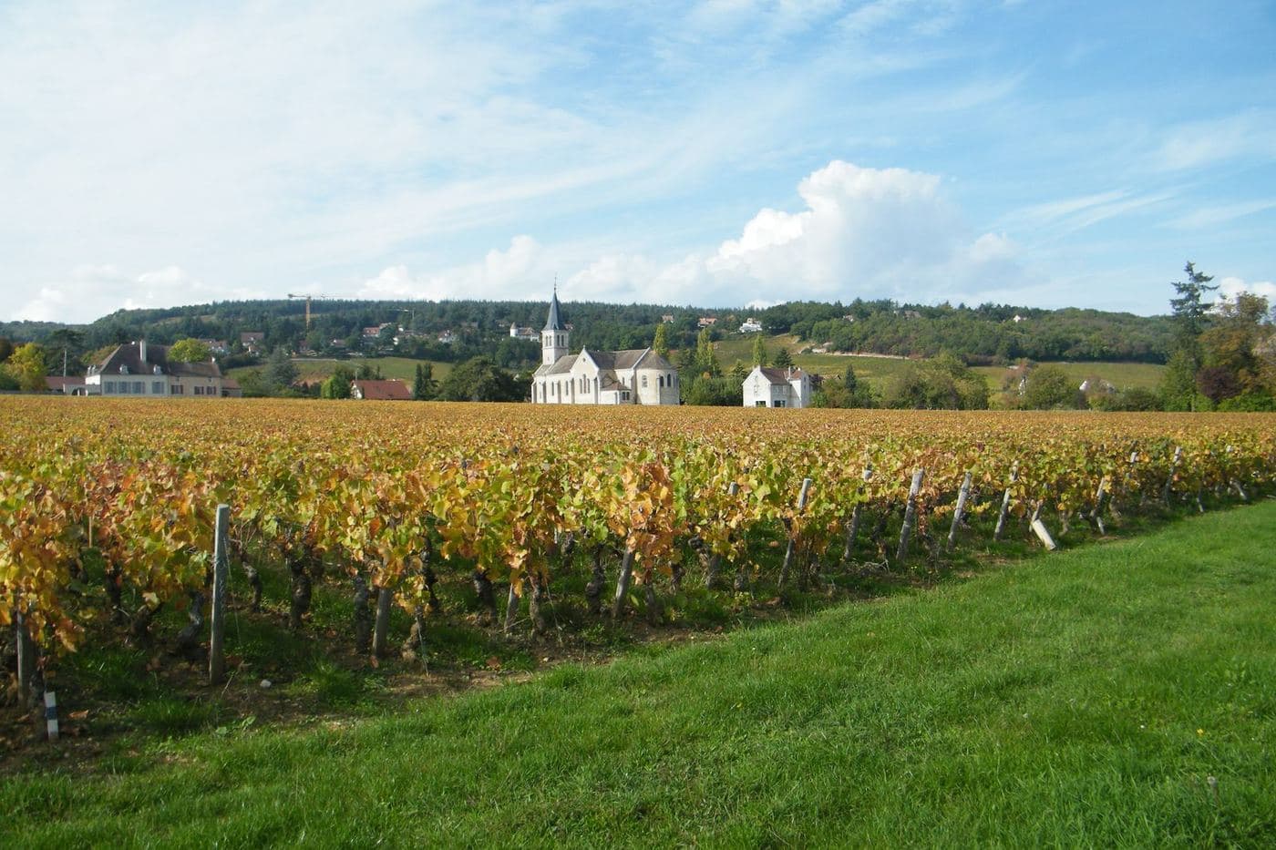 Vinhedos de Givry em cores de outono com igreja de Poncey ao fundo