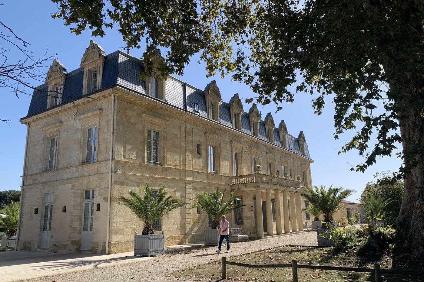 Château do Médoc com palmeiras e árvore em primeiro plano
