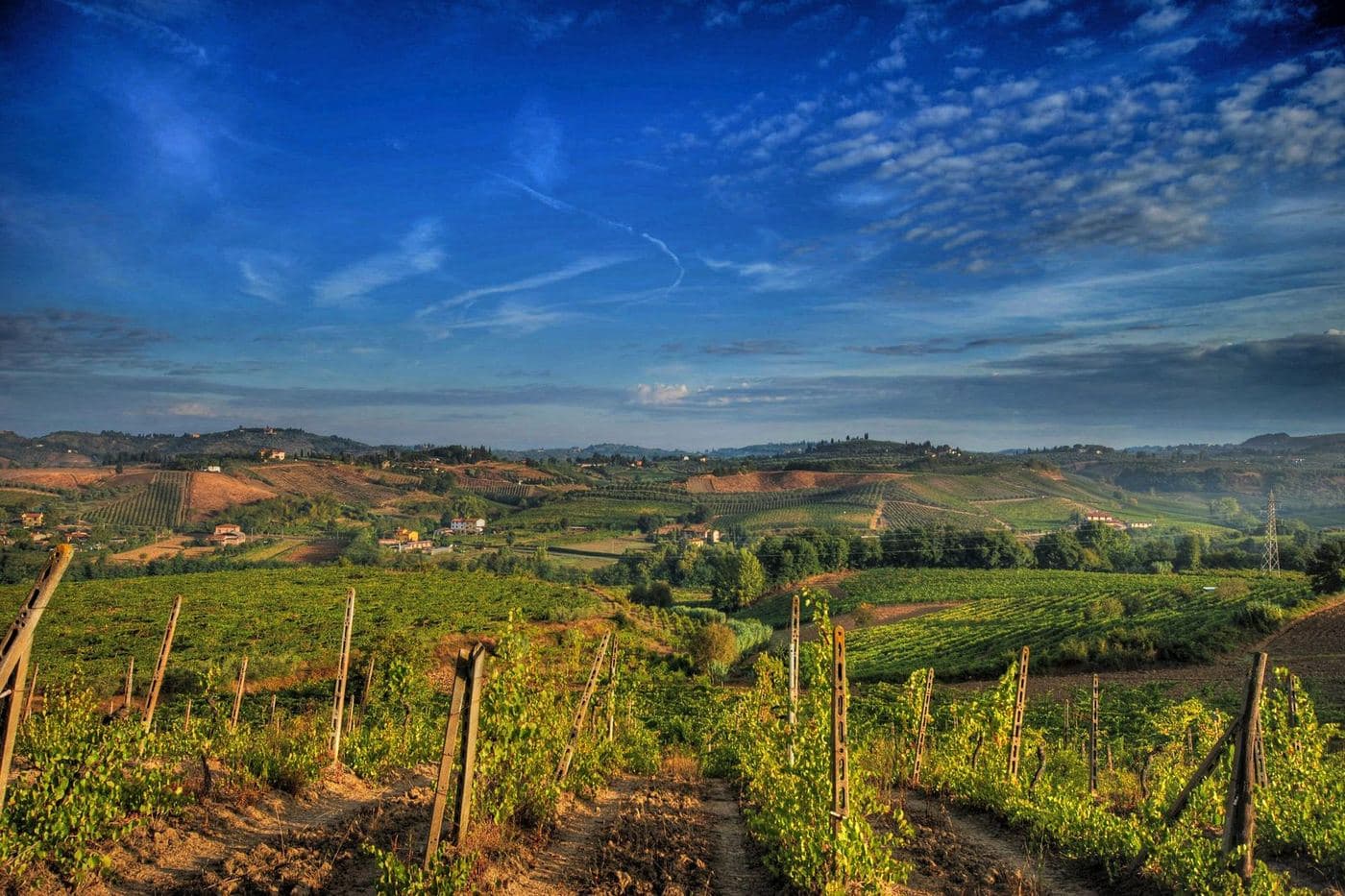 Colinas do Chianti cobertas de vinhedos antes da vindima, sob céu azul