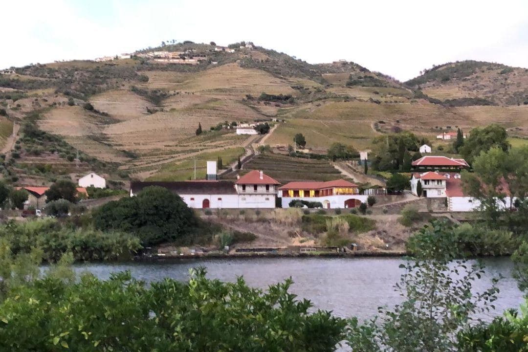 Encostas de vinhedos em socalcos e quinta à beira do rio Douro