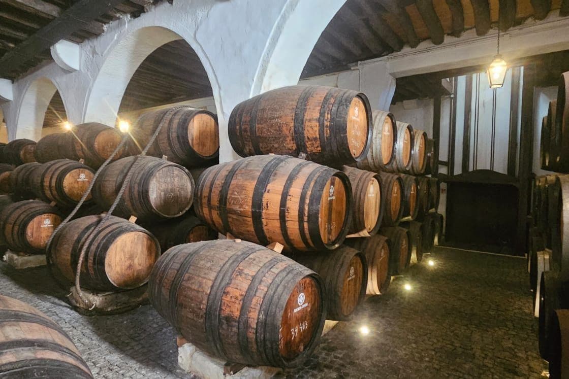 Pipas de carvalho em lodge de Vinho do Porto, Vila Nova de Gaia