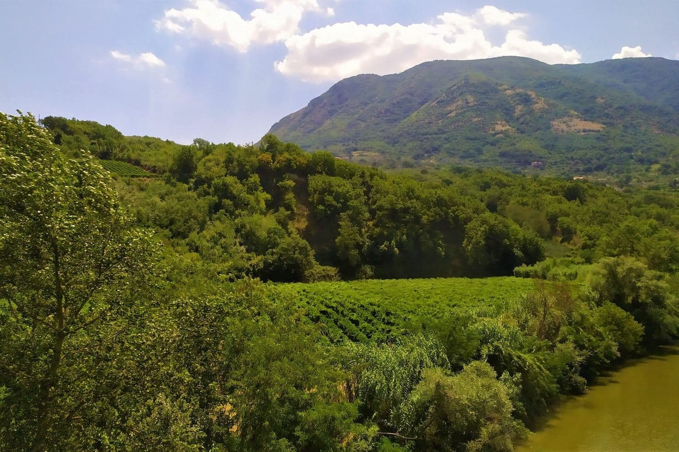 Vinhedos junto ao rio Calore em Paupisi, no Sannio, com montanhas ao fundo
