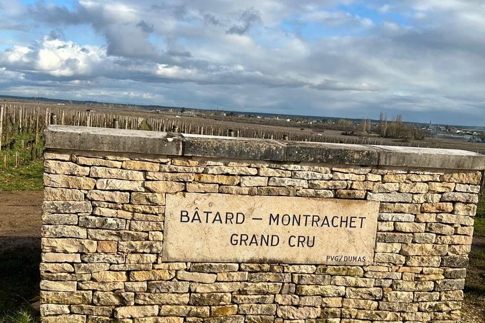 Muro de pedra com placa Bâtard-Montrachet Grand Cru e vinhedos