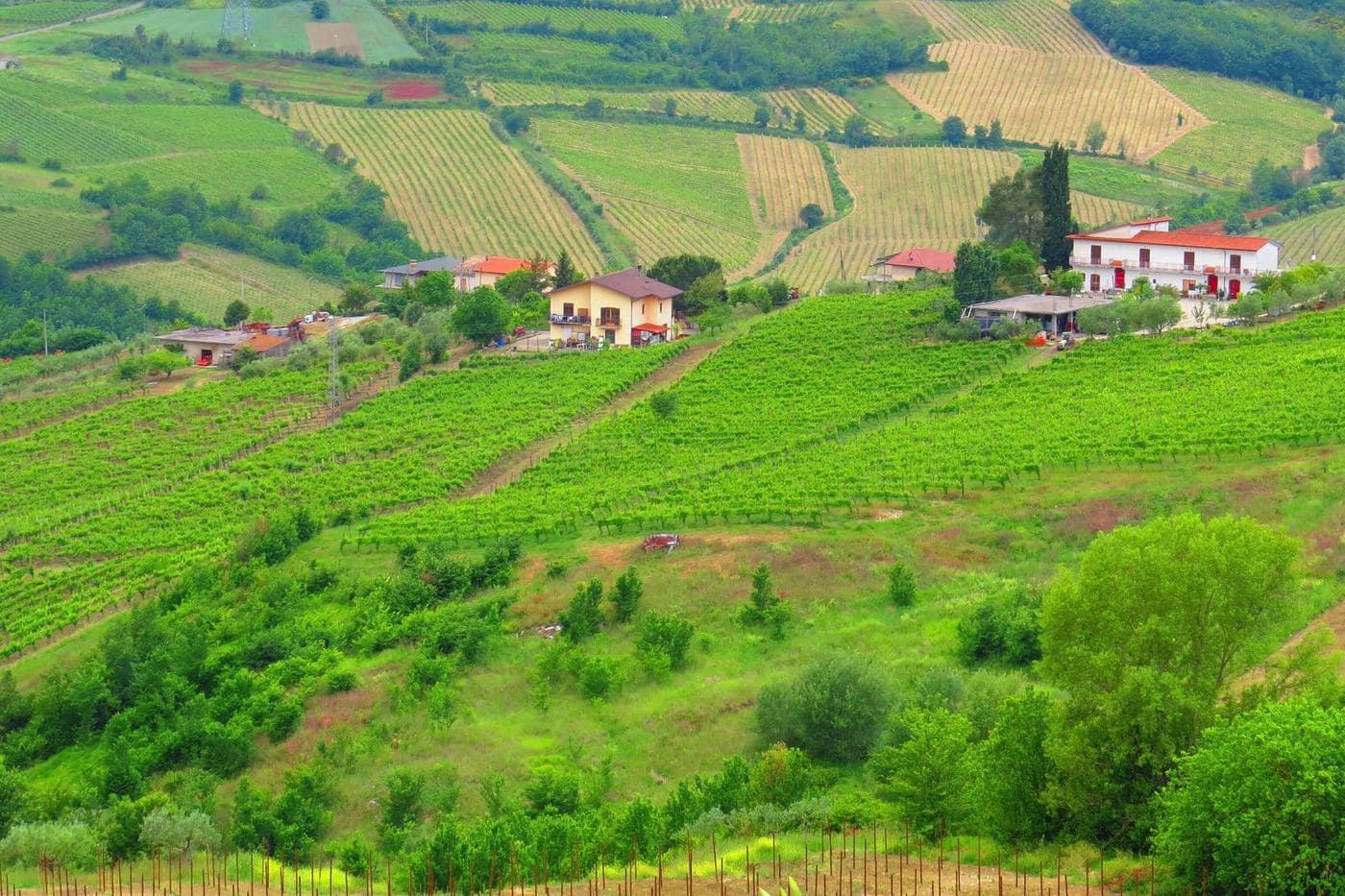 Colinas cobertas de vinhedos e casas rurais em Tufo, na Irpinia