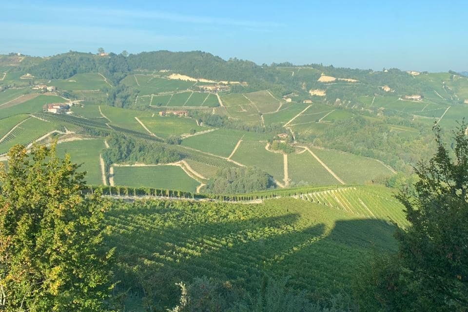 Colinas de vinhedos verdes das Langhe vistas do alto