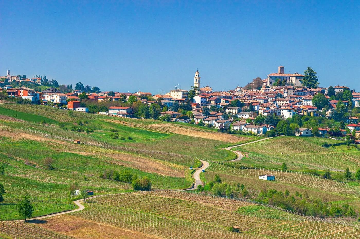 Vila de Ziano Piacentino no alto da colina cercada de vinhedos