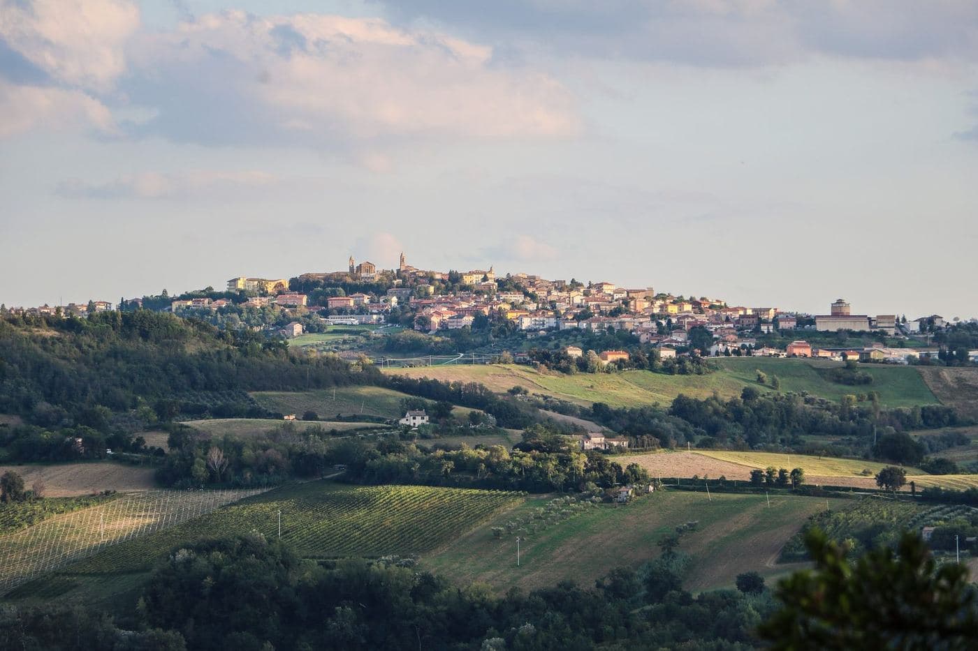 Colinas com vinhedos e a cidade de Cupramontana no alto, nas Marche