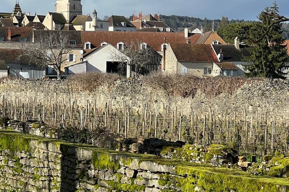 Vilarejo de Meursault com torre da igreja atrás de muro de vinhedo