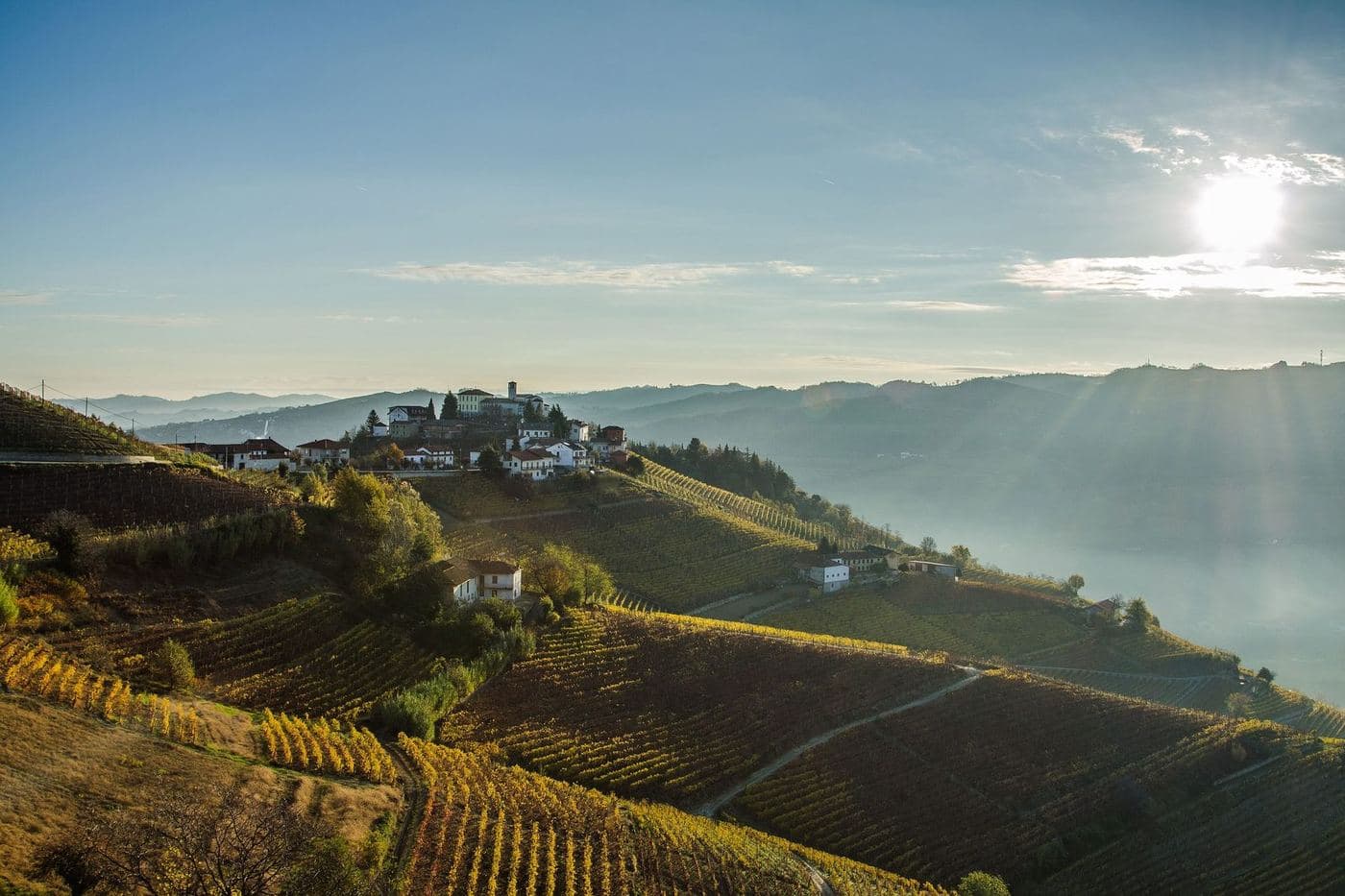 Vinhedos em encosta íngreme e a vila de Camo ao amanhecer