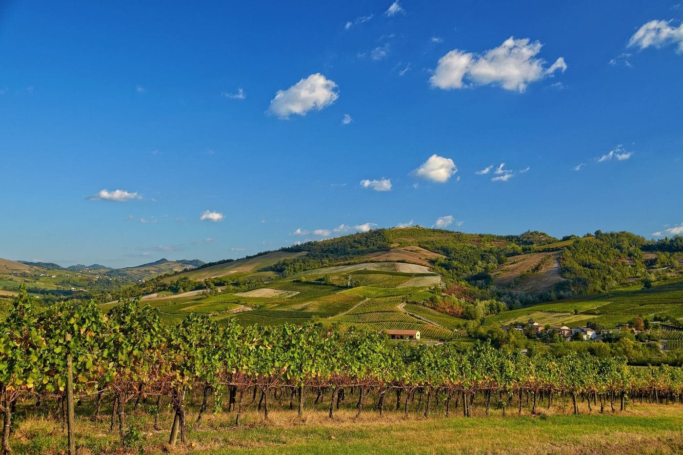 Colinas cobertas de vinhedos em Calvignano, no Oltrepò Pavese