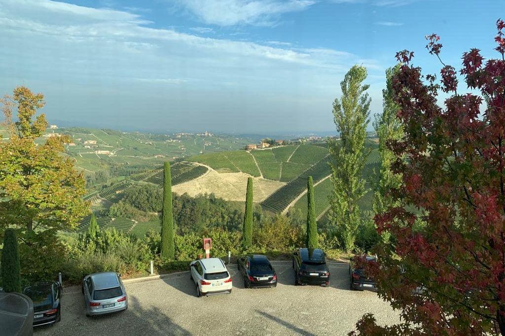 Colinas cobertas de vinhedos nas Langhe, no Piemonte, sob céu azul