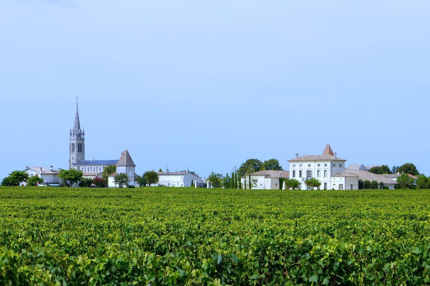 Vinhedo de Pomerol com a igreja e um château ao fundo
