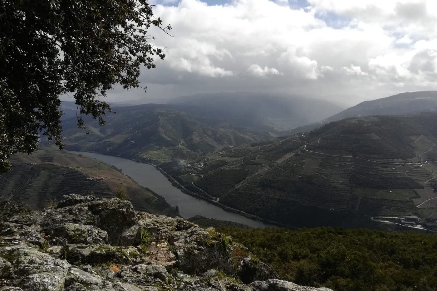 Rio Douro serpenteando entre montanhas com vinhedos, visto de um penedo