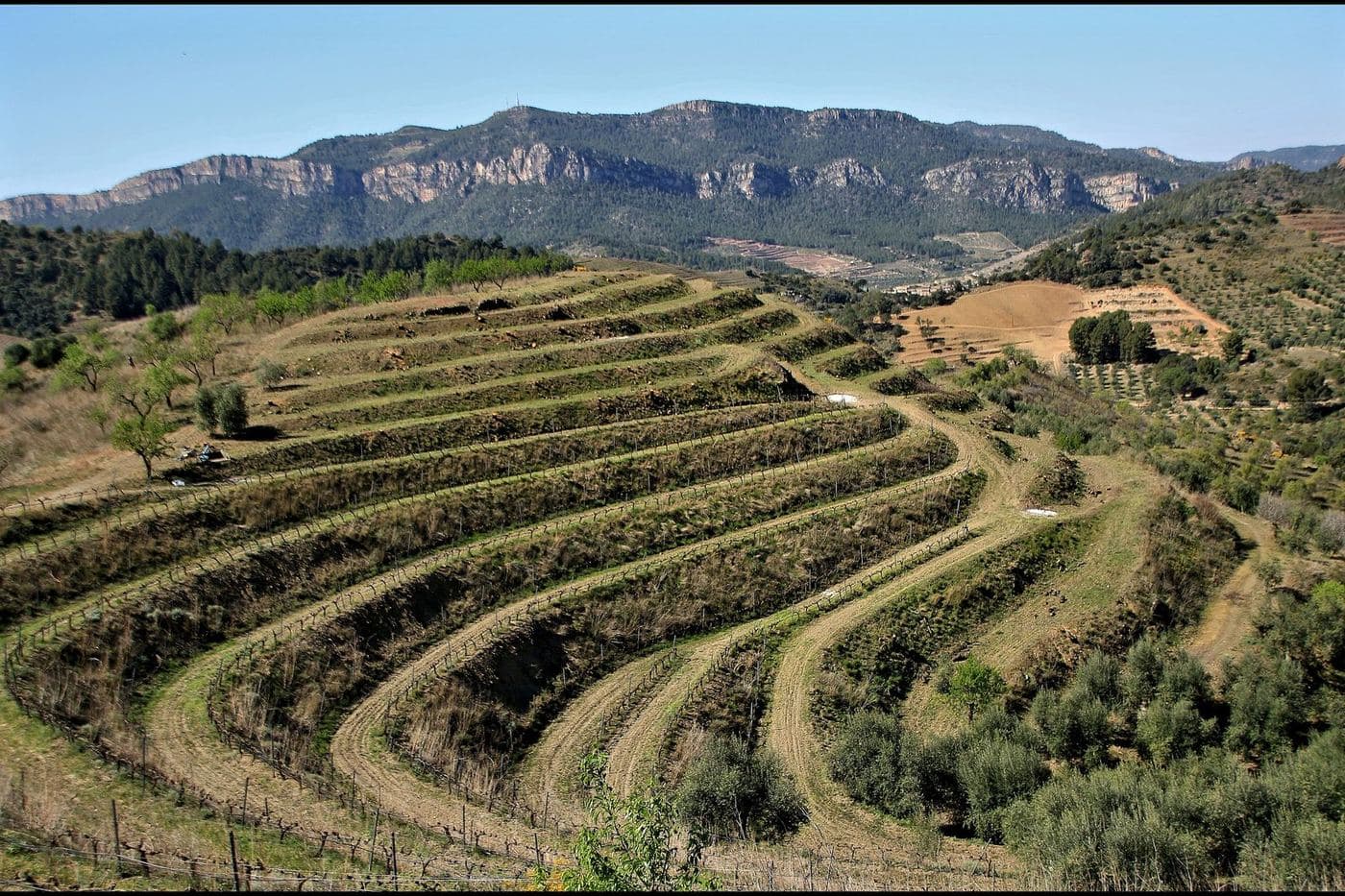 Vinhas em socalcos curvos em La Vilella Alta, no coração do Priorat