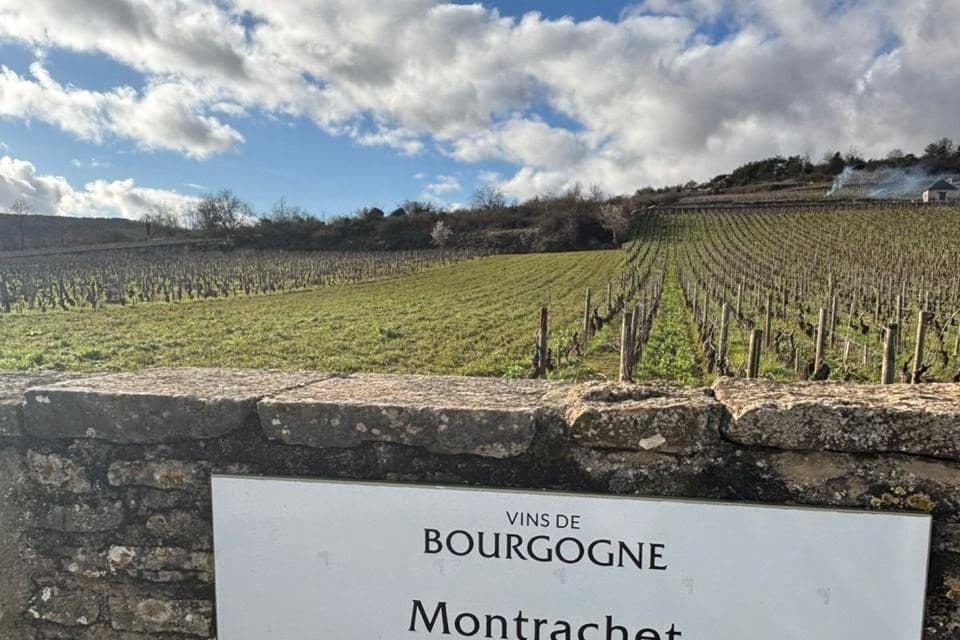 Placa Montrachet Grand Cru em muro de pedra diante dos vinhedos