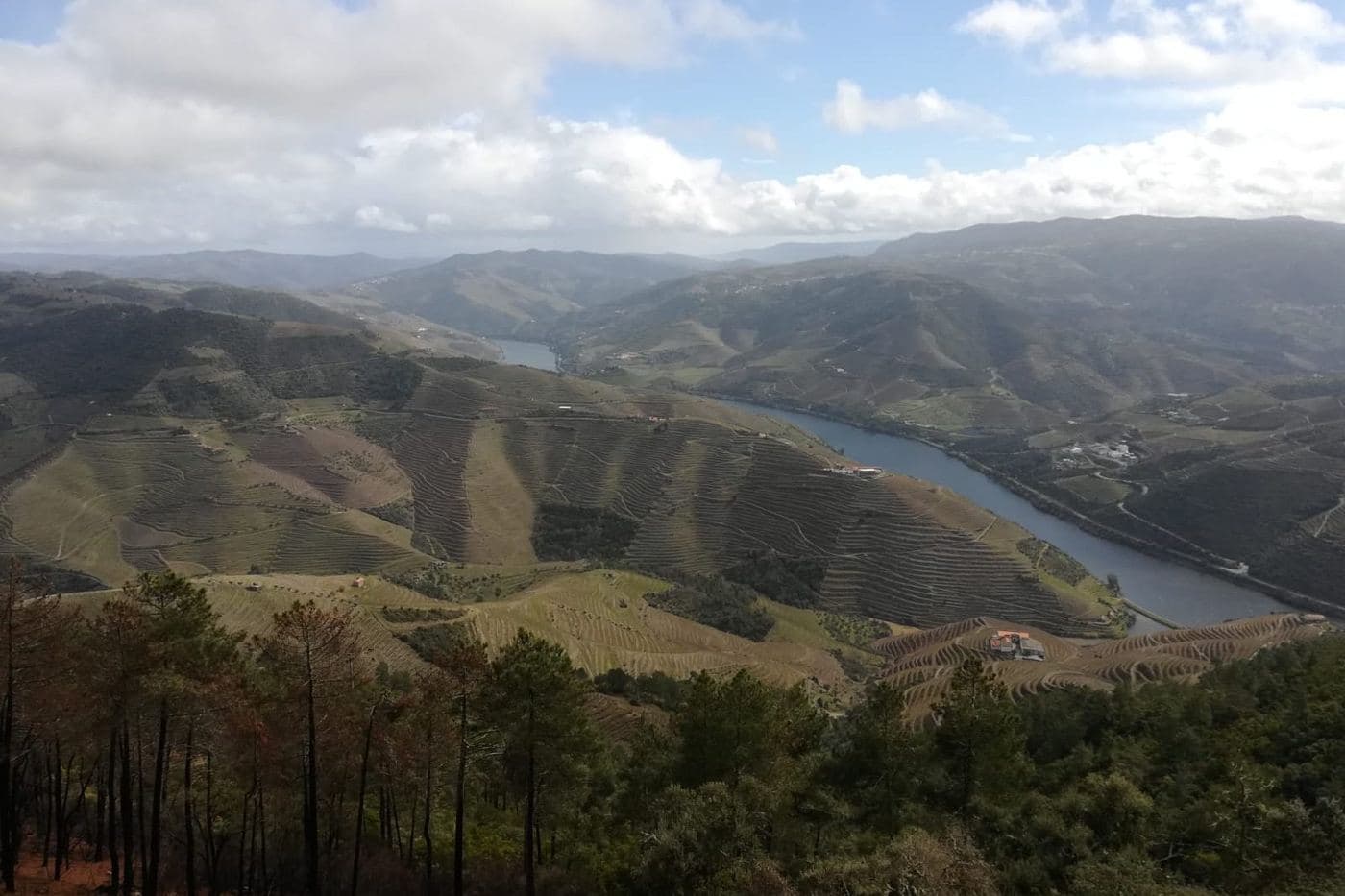Vale do rio Douro com vinhedos em socalcos entre colinas