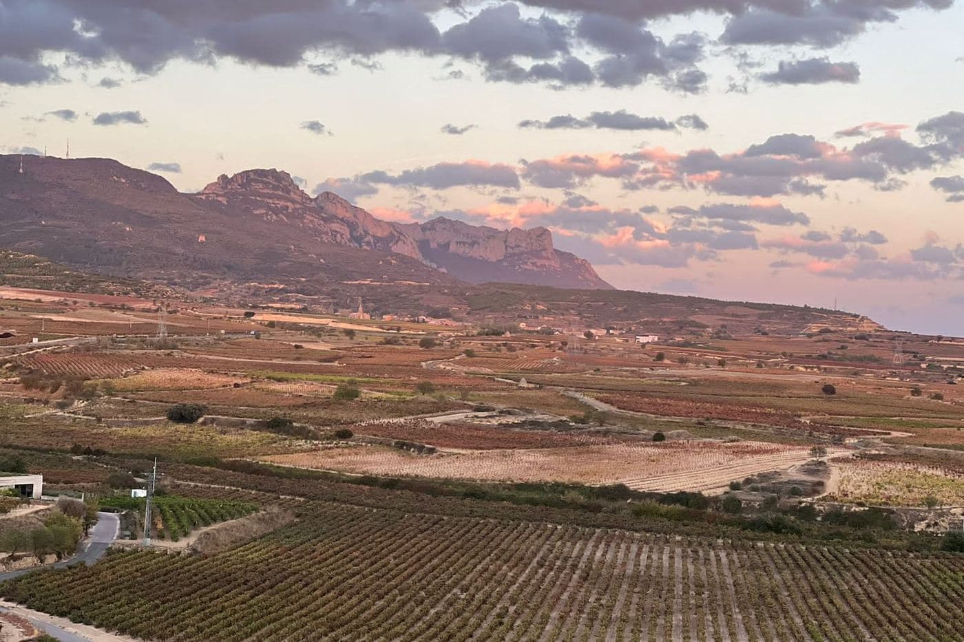 Vinhedos da Rioja Alavesa com a Sierra de Cantabria ao entardecer