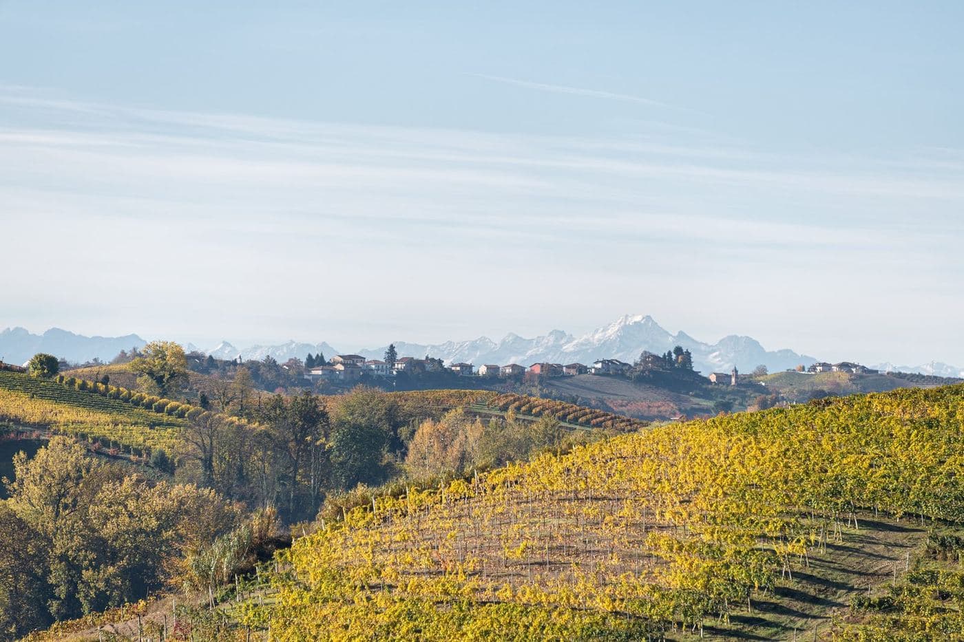 Colinas do Roero com vinhedos de outono e Alpes nevados ao fundo