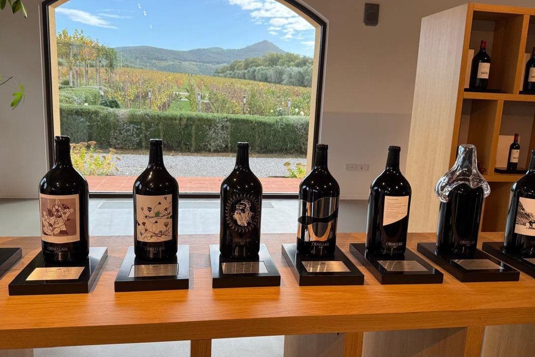 Garrafas Ornellaia alinhadas em balcão com vista para vinhedos de Bolgheri