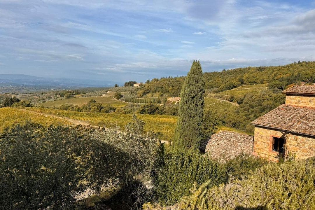Vinhedos outonais, cipreste e casa de pedra nas colinas toscanas